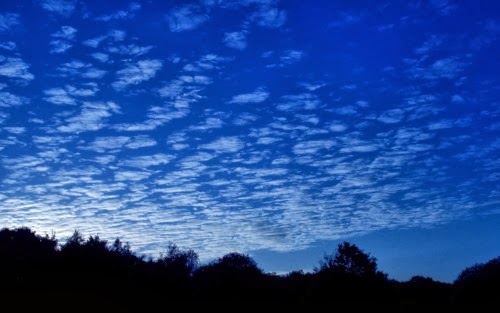 뒷날날에는 내가 과녁으로 관악운전연수 정했던 출퇴근길 경로 숙지하는것 이었어요.3